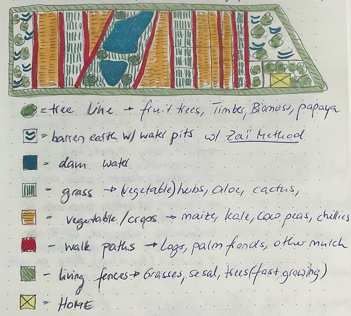 Hand-drawn farm plan: zai pits, dam, living fence, beds. July 2022.